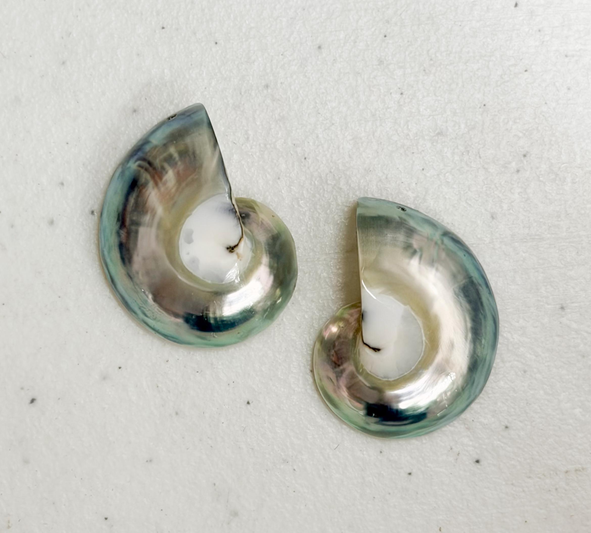 Etsy 日本 Pearl nautilus 貝殻 オウムガイ 完品 極美品⁄18cm特大