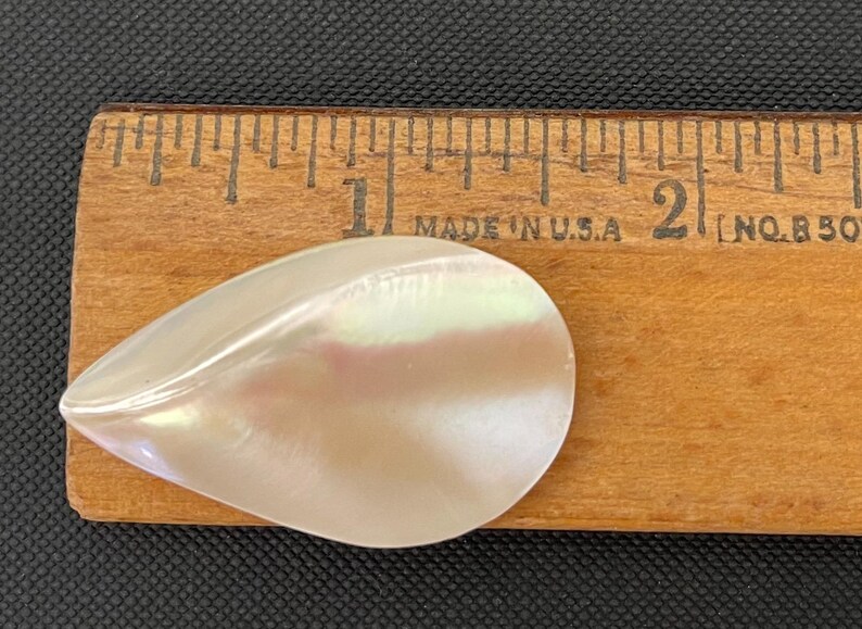 Shell On Ruler Nautilus Shell, Shell Pendant Focal Large Teardrop Bead-1pc - Etsy