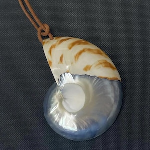 May include: A nautilus shell pendant with a brown leather cord. The shell has a pearlescent blue and white interior and brown and cream-coloured markings on the exterior. The pendant is knotted to the cord.