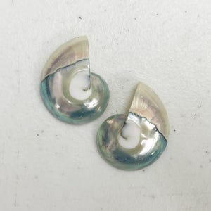 Może przedstawiać: Dwa iryzujące obiekty w kształcie nautilusa o perłowym połysku. Obiekty mają spiralny wzór z mieszanką kolorów, w tym białym, niebieskim i odcieniach różu. Obiekty są prawdopodobnie elementami dekoracyjnymi lub biżuteryjnymi.