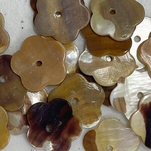 Pretty shell button 1 hole-10pc