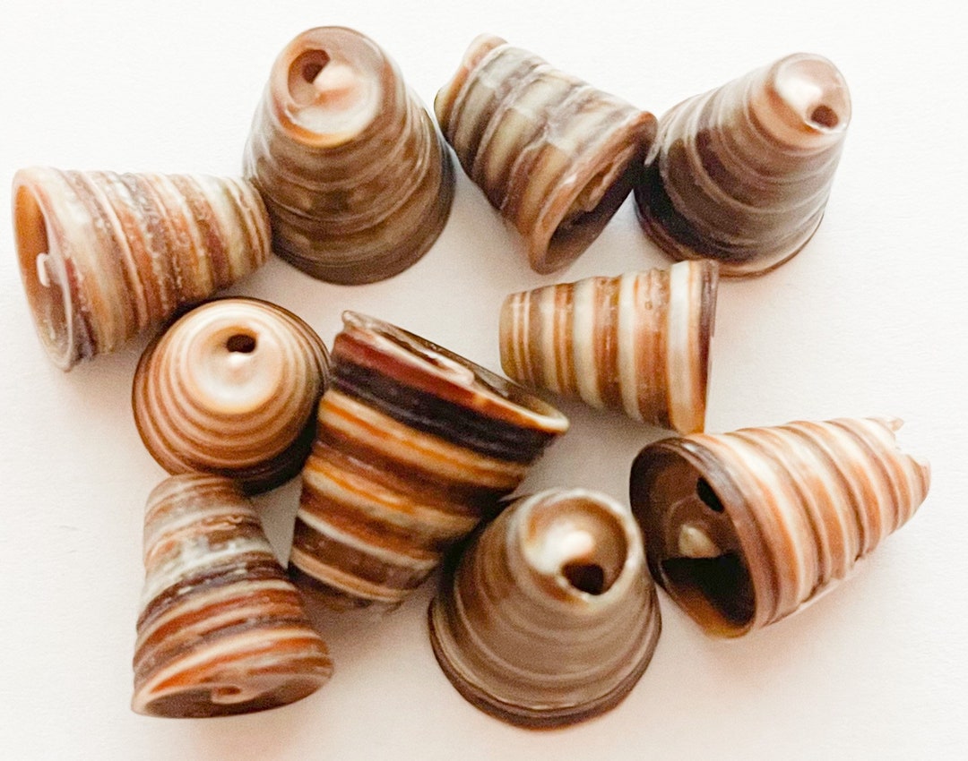 10PC Natural Shell Bead Caps Cones - Etsy