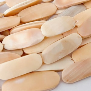 Melon Conch Shell Oval Beads 28mm