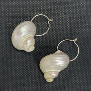 May include: A pair of seashell earrings. Each earring features a pearlescent, spiral-shaped shell suspended from a silver-colored hoop. The shells have a natural, iridescent sheen, with hints of pink and green.