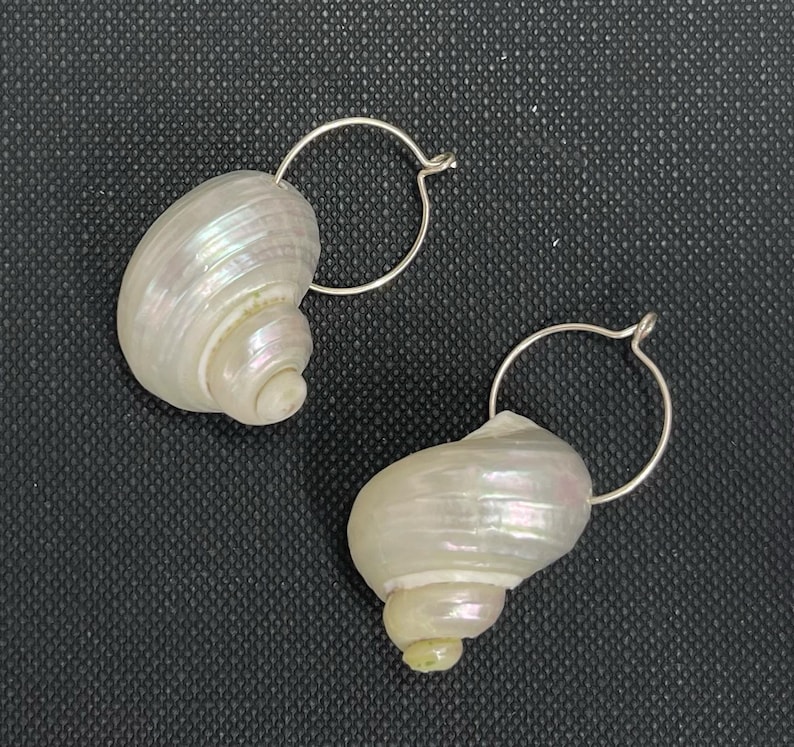 May include: A pair of seashell earrings. Each earring features a pearlescent, spiral-shaped shell suspended from a silver-colored hoop. The shells have a natural, iridescent sheen, with hints of pink and green.