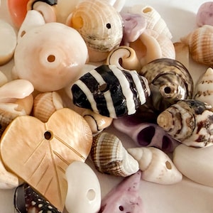 Puede incluir: Una colección de conchas marinas naturales y cuentas de concha variadas en diversas formas, tamaños y colores, incluyendo blanco, beige, marrón, negro y morado. Muchas conchas tienen agujeros perforados, incluyendo una cuenta en forma de corazón.