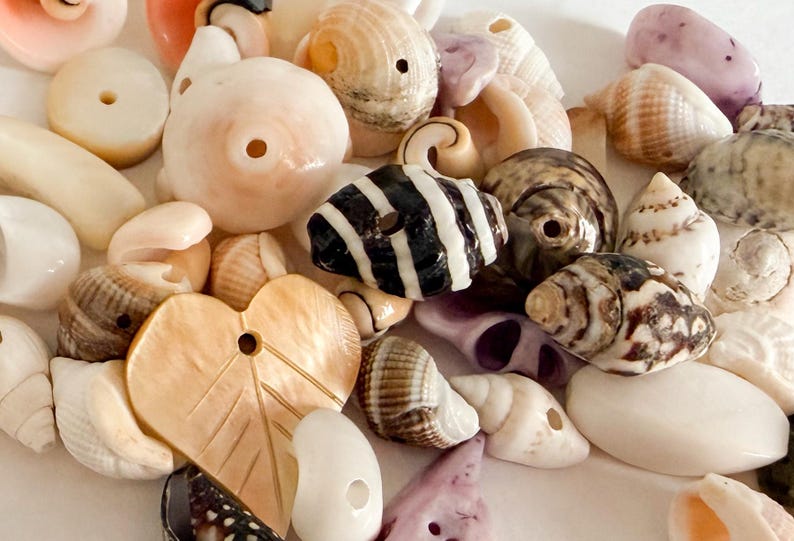 May include: A collection of assorted natural seashells and shell beads in various shapes, sizes, and colors including white, tan, brown, black, and purple. Many shells feature drilled holes for threading, including a prominent heart-shaped shell bead.