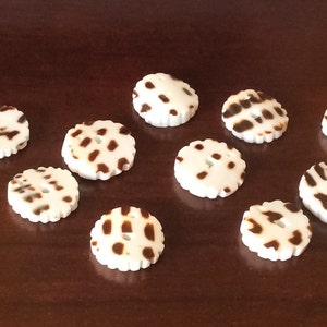May include: Ten round, white shell buttons with brown spots. The buttons have a scalloped edge.