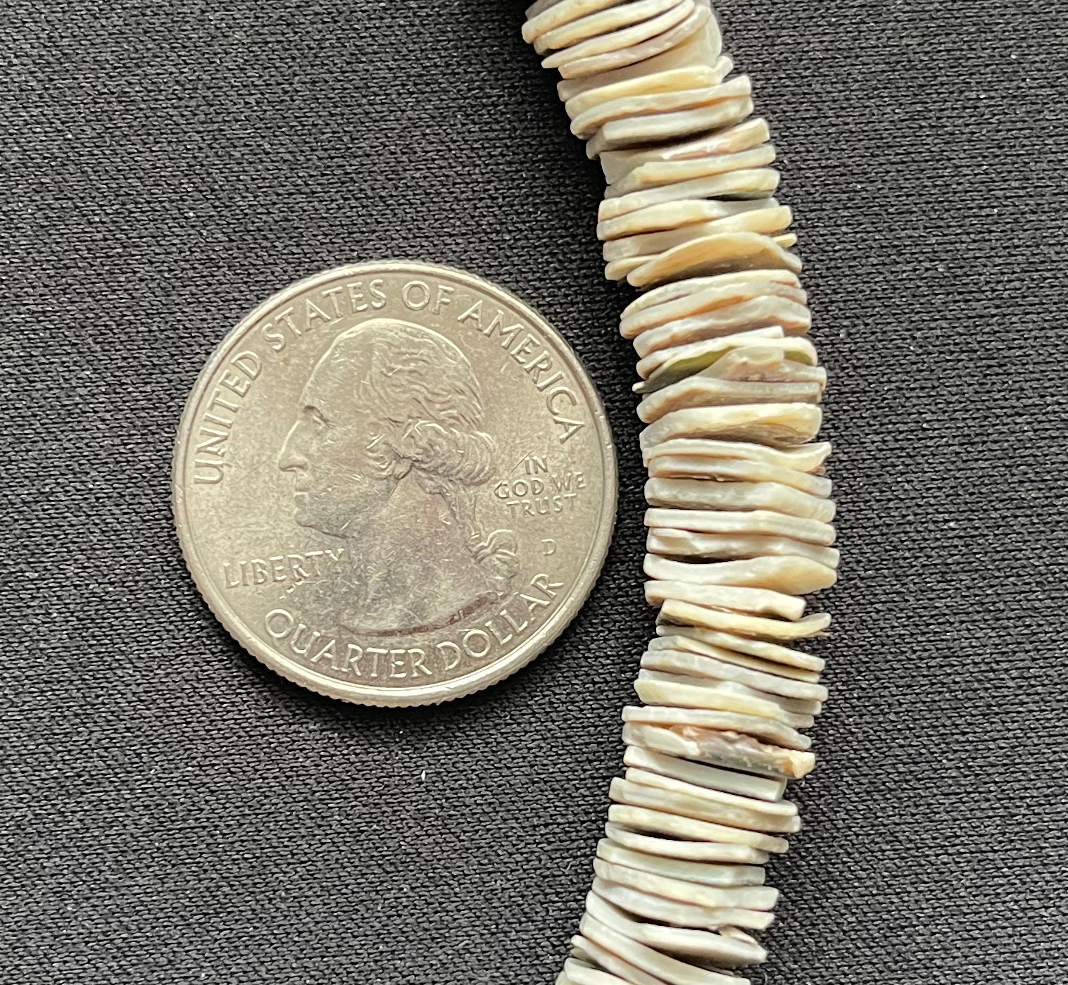 Green Shell Chips 10mm 24 Inch Strand - Etsy