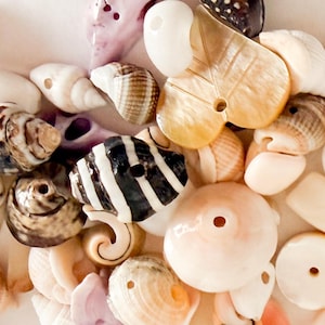 May include: A collection of assorted natural seashells and carved shell beads in various shapes, sizes, and colors including white, tan, brown, and black. Many of the shells feature drilled holes, indicating their use as jewelry components.