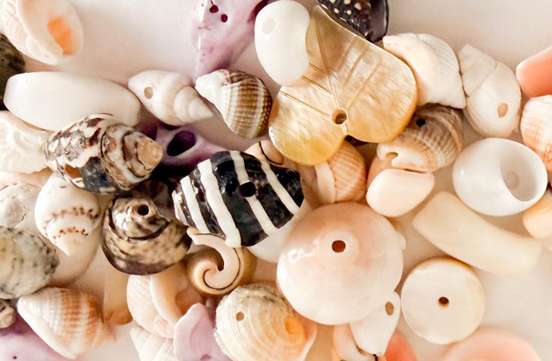 May include: A collection of assorted natural seashells and carved shell beads in various shapes, sizes, and colors including white, tan, brown, and black. Many of the shells feature drilled holes, indicating their use as jewelry components.