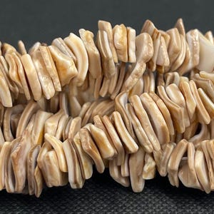 May include: A strand of brown and white shell beads. The beads are flat and rectangular, with a slightly irregular shape. They are strung together on a clear thread.