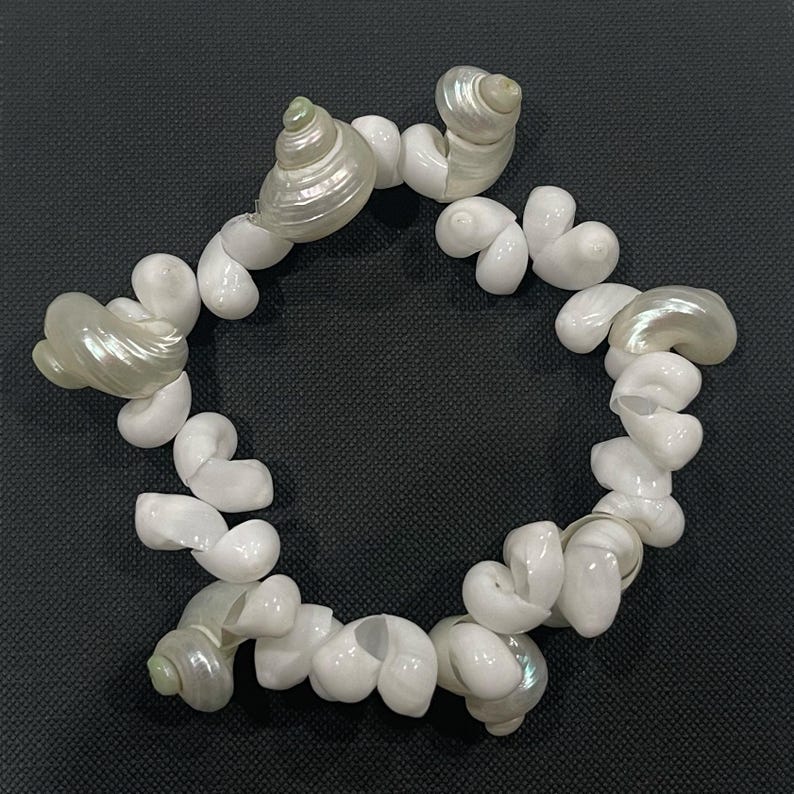 May include: A bracelet made of white seashells, arranged in a circular shape. The shells vary in size and shape, with some having a pearlescent sheen. The bracelet is set against a dark background, highlighting the natural beauty of the shells.