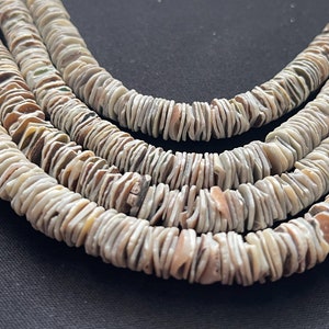 Green Shell Chips 10mm 24 Inch Strand - Etsy
