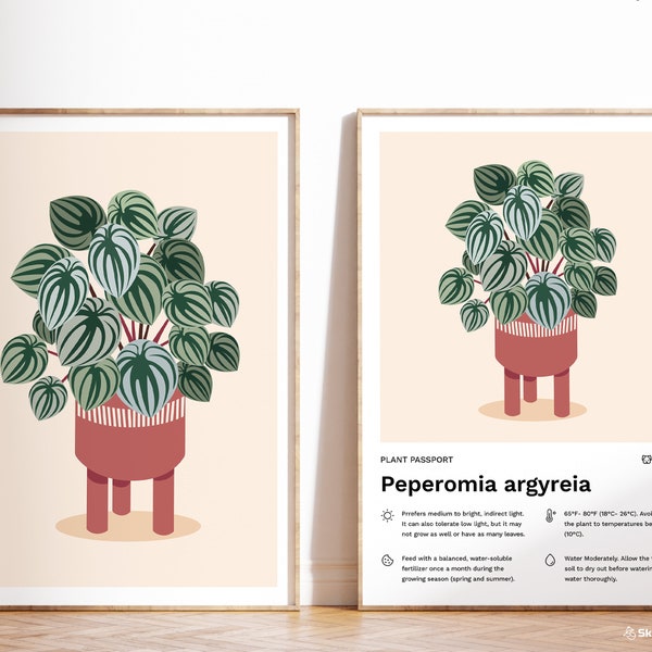 PEPEROMIA PLANT POSTER, plant print, watermelon peperomia Plant illustration print, Plant art, plant decor, botanical plant poster, home