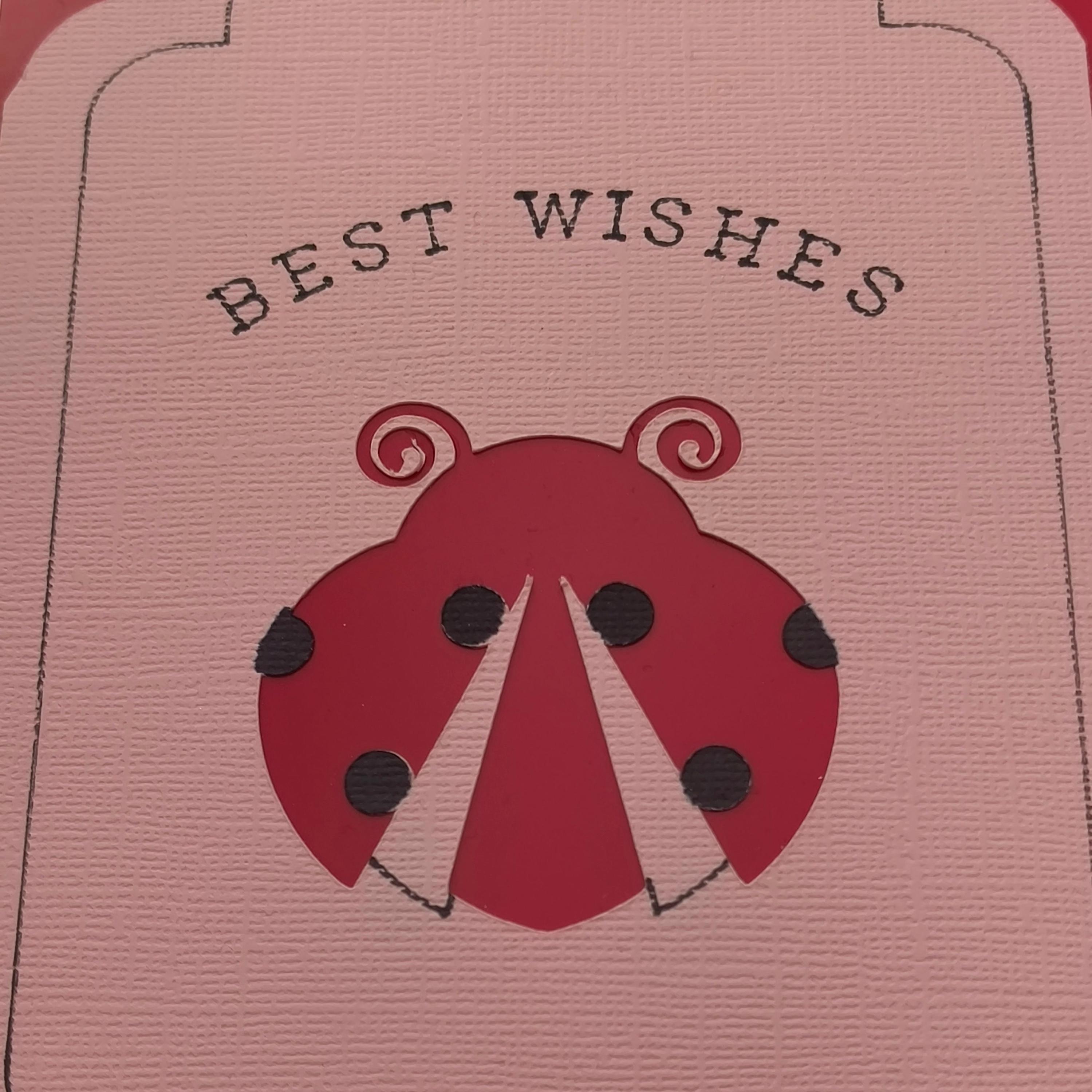 Ladybird Card, Handmade Pink and Red Bug Design, Birthday, Good Luck ...