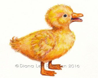 Duck Art, Nursery Art, Baby Duck, Little Duck Print, Nursery Animals, Duck Print, Duck Nursery Decor, Bird Nursery Art, Kid's Room Art, Duck