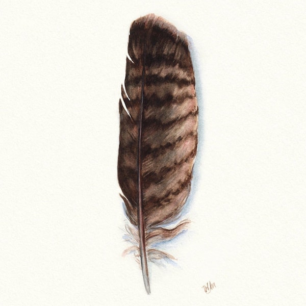 Eagle Feather - Etsy