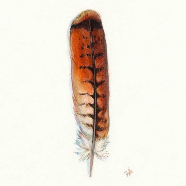 Red-tailed Hawk Art, Watercolor Hawk Feather, Redtail Hawk Feather, Red Tail Hawk, Native American, Indian Art, Smudge, Watercolor Feather