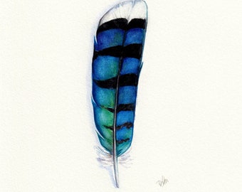 Blue Jay Art, Watercolor Feather, Feather Art, Blue Feather, Blue Jay, Bluebird, Feather, Feather Print, Blue Jay Print, Jay, Bird Art