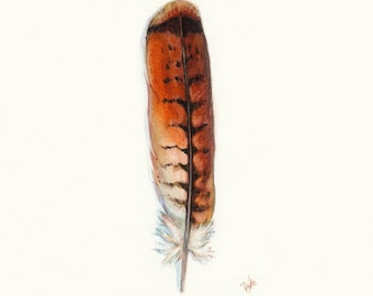 Red-tailed Hawk Art, Watercolor Hawk Feather, Redtail Hawk Feather, Red Tail Hawk, Native American, Indian Art, Smudge, Watercolor Feather