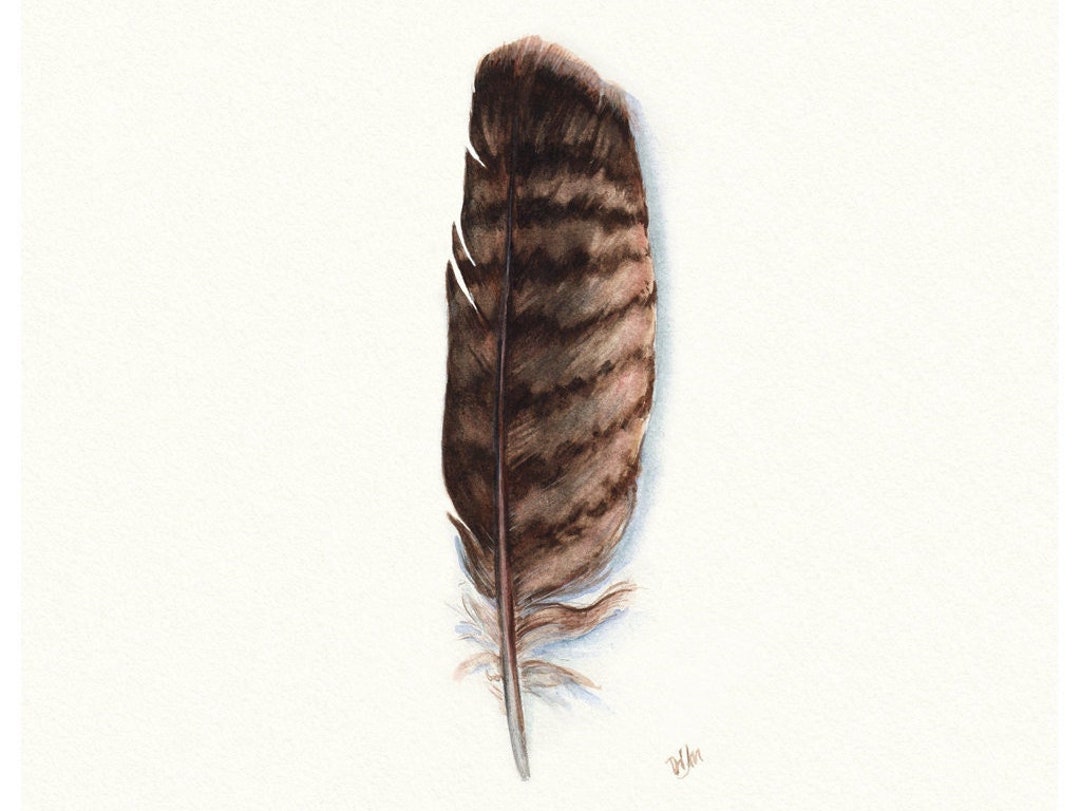 Eagle Feather Print, Eagle Art, Watercolor Eagle, Native American Art