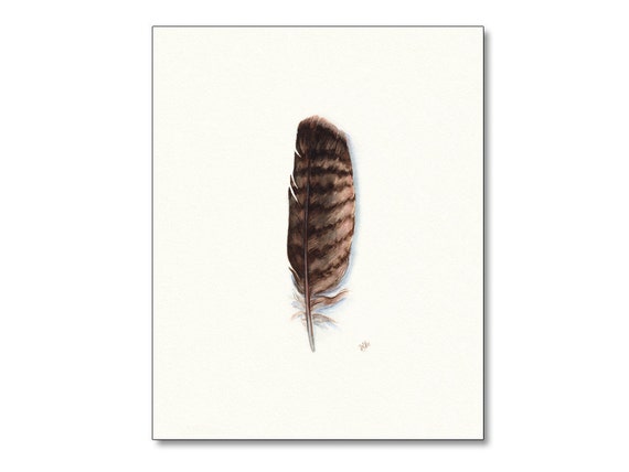 Native American Eagle Feather Drawings Hand Painted Native American