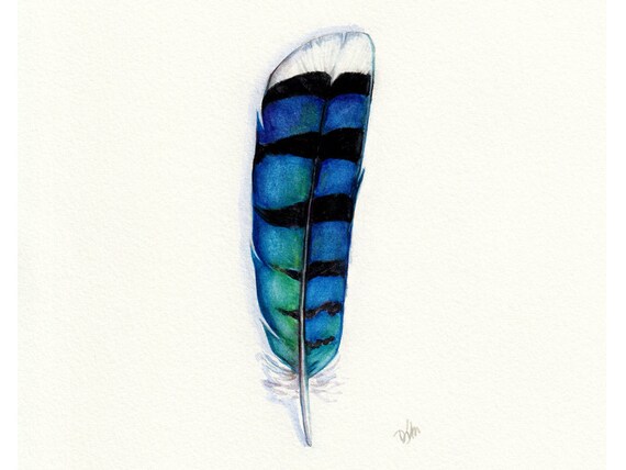 Blue Jay Feather Watercolor Feather Feather Art Blue Etsy