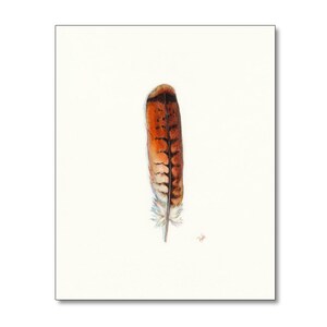 Red-tailed Hawk Art, Watercolor Hawk Feather, Redtail Hawk Feather, Red Tail Hawk, Native American, Indian Art, Smudge, Watercolor Feather image 2