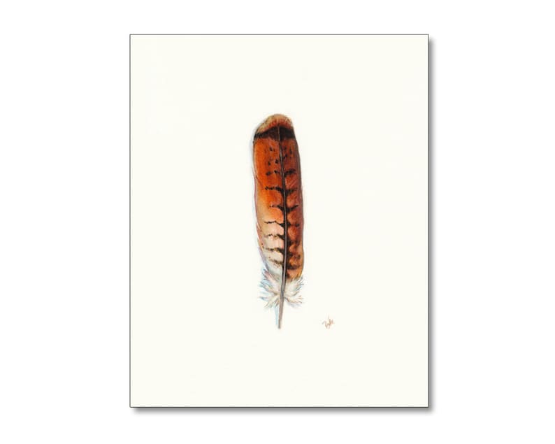 Red-tailed Hawk Art, Watercolor Hawk Feather, Redtail Hawk Feather, Red Tail Hawk, Native American, Indian Art, Smudge, Watercolor Feather image 2