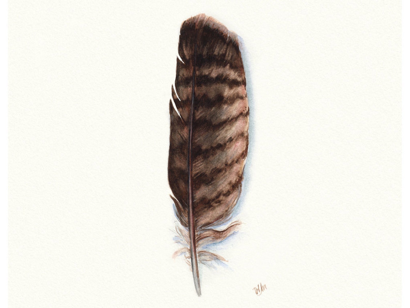 Eagle Feather Eagle Feather Print Native American Art Etsy