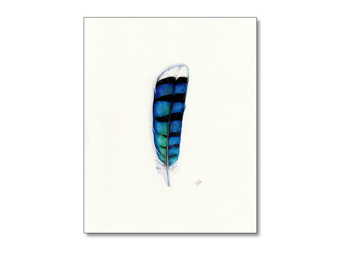 Blue Jay Feather Watercolor Feather Feather Art Blue Etsy