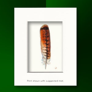 Red-tailed Hawk Art, Watercolor Hawk Feather, Redtail Hawk Feather, Red Tail Hawk, Native American, Indian Art, Smudge, Watercolor Feather image 3