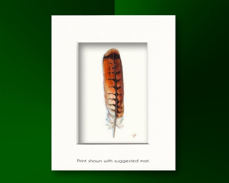 Red-tailed Hawk Art, Watercolor Hawk Feather, Redtail Hawk Feather, Red Tail Hawk, Native American, Indian Art, Smudge, Watercolor Feather image 3