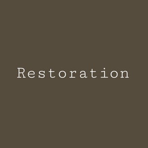 Restoration Bronze - ONE - Melange Paint -  Artisan Mineral Paints - Primer to Topcoat in One - 16oz - Canada