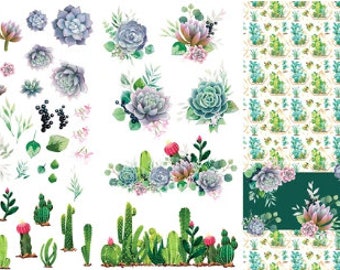 Cacti & Succulents Transfer  Belles And Whistles Decor Transfer Dixie Belle Rub on Floral Transfer Furniture DIY