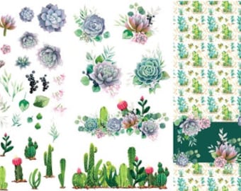 Cacti & Succulents Transfer  Belles And Whistles Decor Transfer Dixie Belle Rub on Floral Transfer Furniture DIY