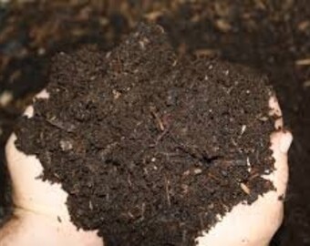 ORGANIC PURE WORM Casting Soil Live Organisms Not Old Contains eggs and other Benificail Organisms 5 Pounds Lbs