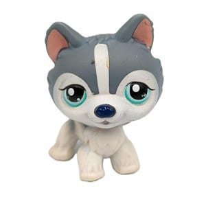 Littlest Pet Shop Husky From Puzzle Tube No # Gray White Teal Eyes Special