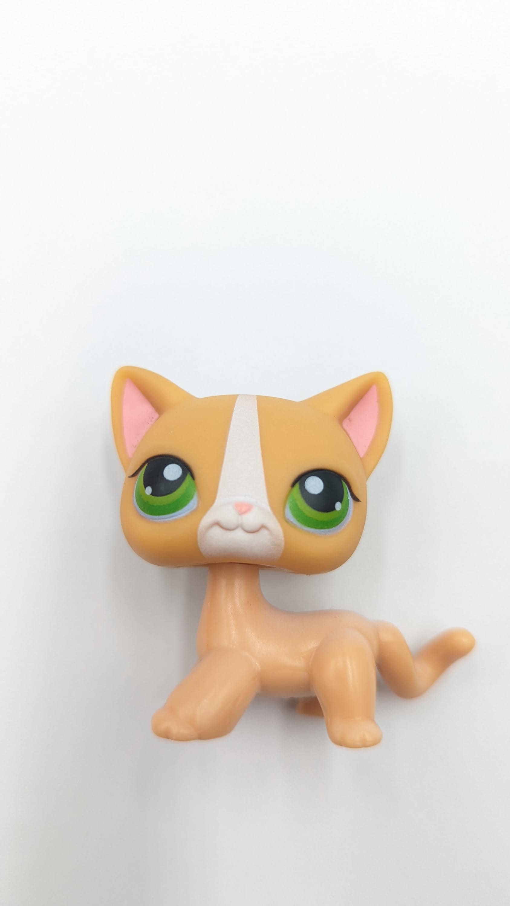 Lps Cat 319 Drawing ⭐️ Rare LPS #1904, #1905 Shorthair Squirrel NIB