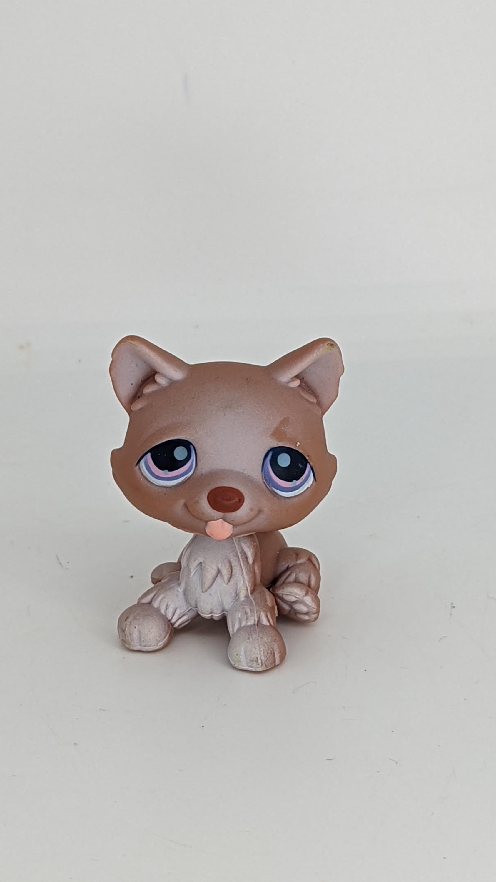 Littlest Pet Shop LPS HUSKY DOG 38 Chocolate Brown UK