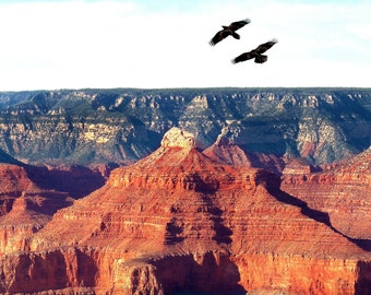 Stampa fotografica dei Grand Canyon Ravens, Southwest Metal Art