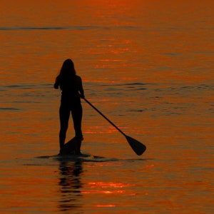 Girl Paddle Boarding With Dog, Photography Prints, Metal Prints, Sunset Siesta Key, Florida Decor