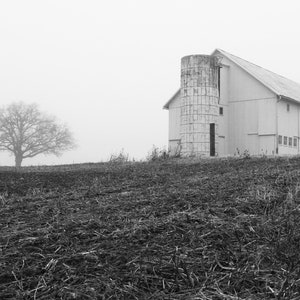 Foggy Farmland, Barn and Tree, photography prints, metal prints, Fields of Corn and Beans, Midwest Farming Decor