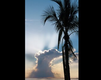 Fotografia del tramonto durante la tempesta a Key Largo, stampa artistica sulle palme della Florida