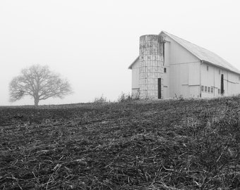 Vecchio fienile, stampe fotografiche, stampe in metallo, nebbia del paesaggio, Ohio Midwest Decor