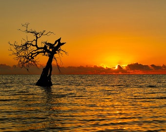 Atlantic Ocean Photography Prints, Metal Prints,  Long Key, Florida Decor