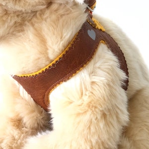 Love Me Luxury Harness and Leash Set – Pomiez.world Shop