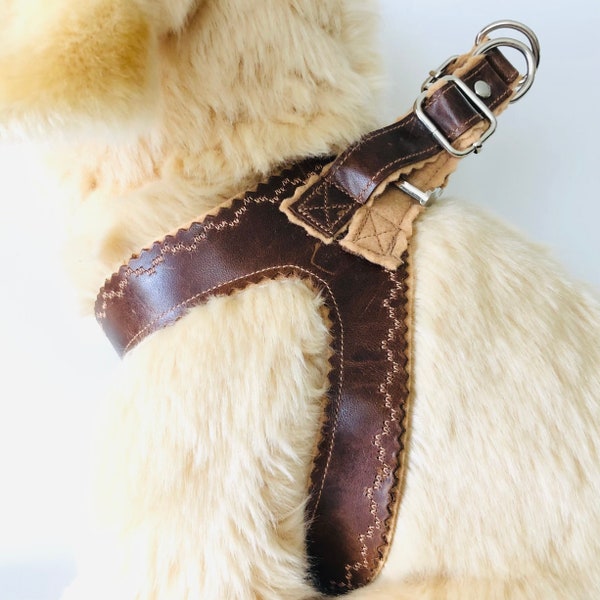 Embroidered Dog Harness Brown Soft Leather Custom Step in Harness Adjustable Dog Gift Puppy Dog Training Vest Quick Release Buckle Harness