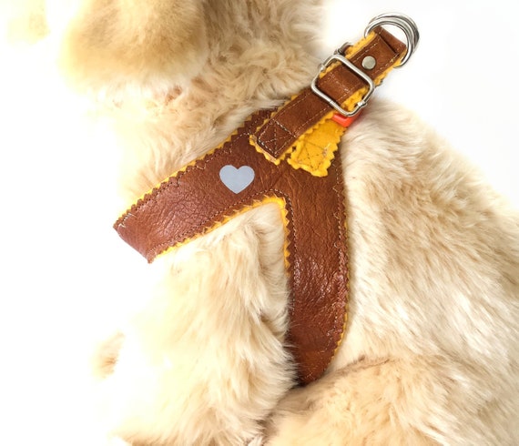 Brown puppy harness Clearance